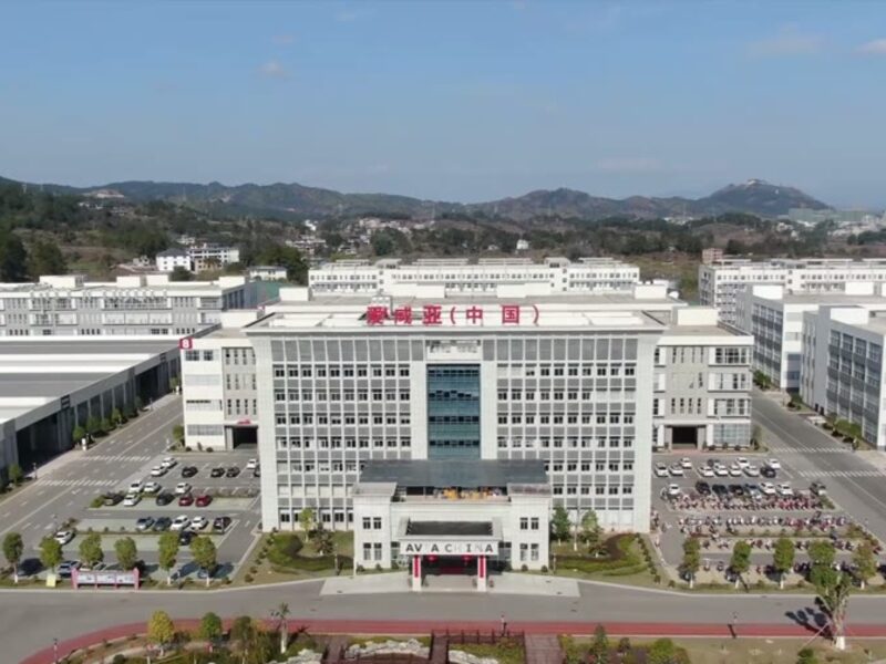 Wide view of the whole complex including staff facilities