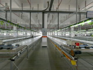 360 scene: printing workshop