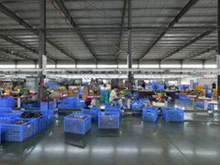 360 scene: sole workshop